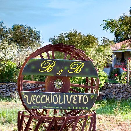 Il Vecchioliveto Di Ornella Bed and Breakfast Marrùbiu Exteriör bild