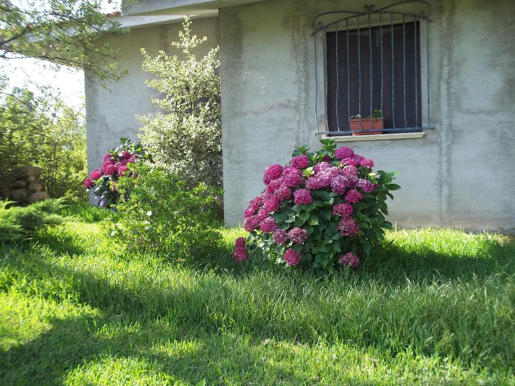 Il Vecchioliveto Di Ornella Bed and Breakfast Marrùbiu Exteriör bild