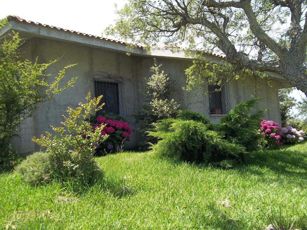 Il Vecchioliveto Di Ornella Bed and Breakfast Marrùbiu Rum bild