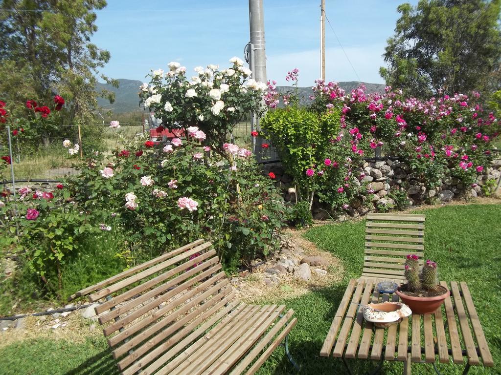 Il Vecchioliveto Di Ornella Bed and Breakfast Marrùbiu Rum bild