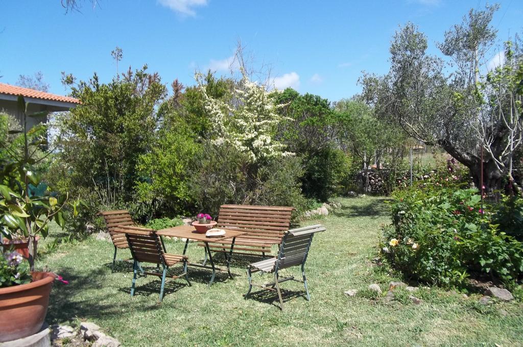 Il Vecchioliveto Di Ornella Bed and Breakfast Marrùbiu Exteriör bild