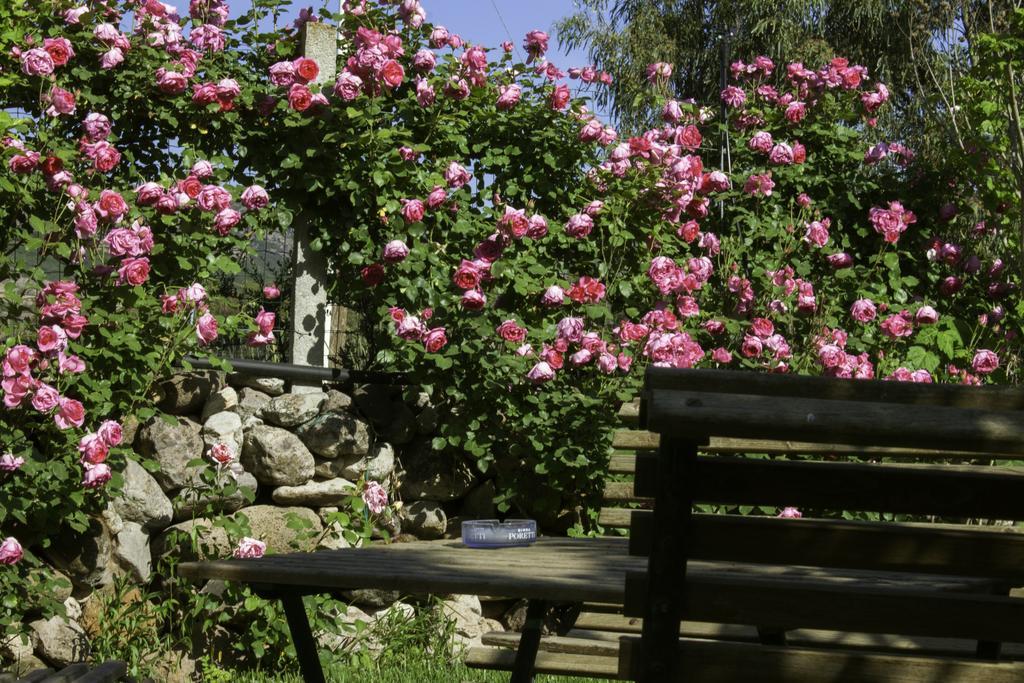 Il Vecchioliveto Di Ornella Bed and Breakfast Marrùbiu Exteriör bild