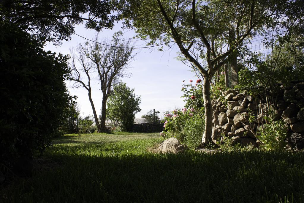 Il Vecchioliveto Di Ornella Bed and Breakfast Marrùbiu Exteriör bild