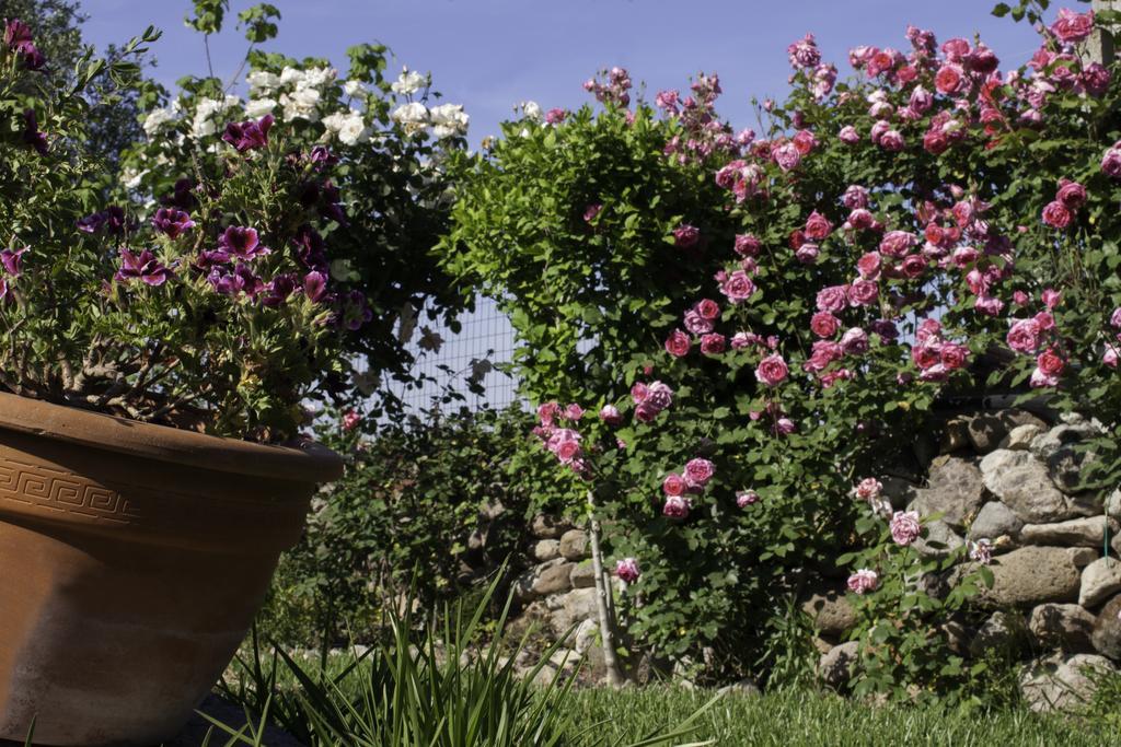 Il Vecchioliveto Di Ornella Bed and Breakfast Marrùbiu Exteriör bild