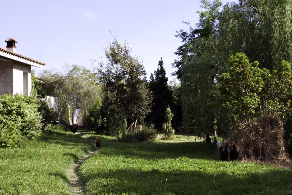 Il Vecchioliveto Di Ornella Bed and Breakfast Marrùbiu Exteriör bild