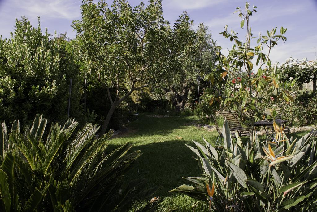 Il Vecchioliveto Di Ornella Bed and Breakfast Marrùbiu Exteriör bild