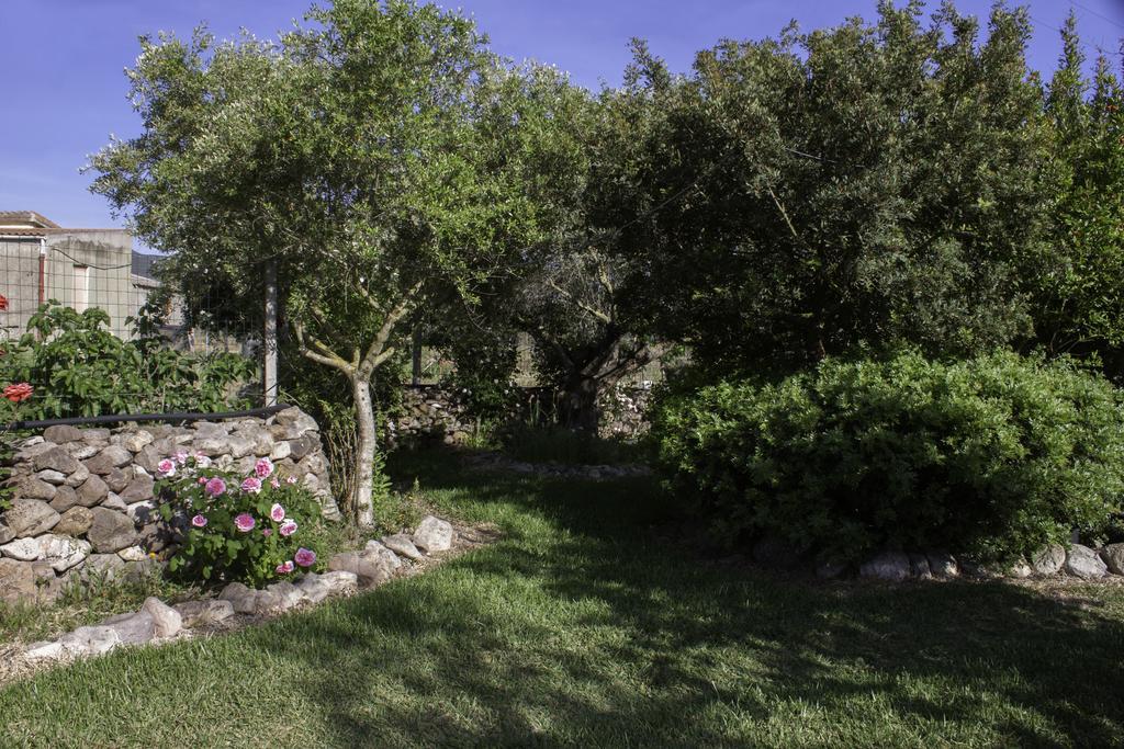 Il Vecchioliveto Di Ornella Bed and Breakfast Marrùbiu Exteriör bild