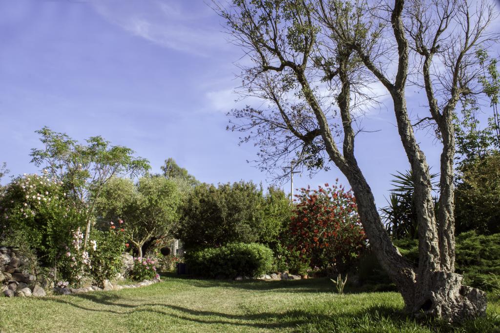 Il Vecchioliveto Di Ornella Bed and Breakfast Marrùbiu Exteriör bild