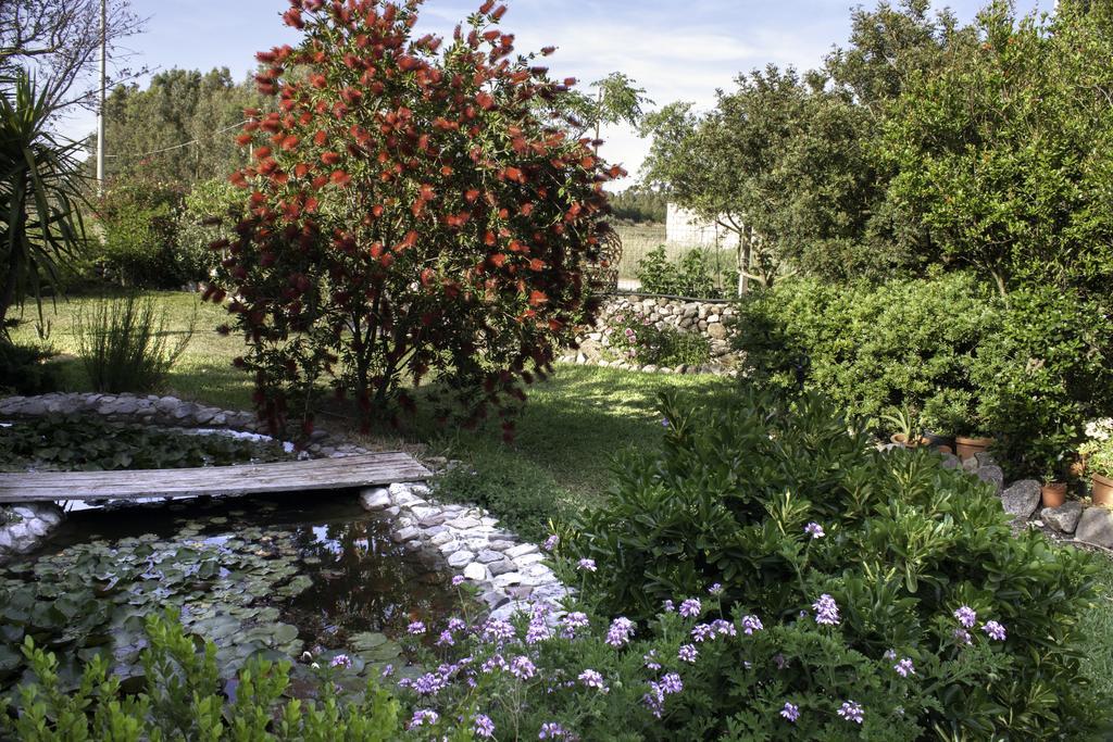 Il Vecchioliveto Di Ornella Bed and Breakfast Marrùbiu Exteriör bild
