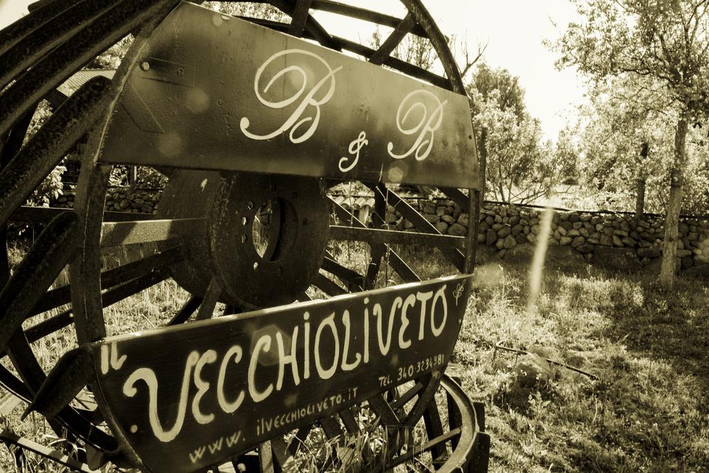 Il Vecchioliveto Di Ornella Bed and Breakfast Marrùbiu Exteriör bild