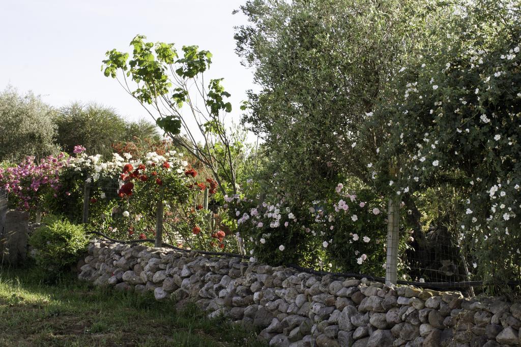Il Vecchioliveto Di Ornella Bed and Breakfast Marrùbiu Exteriör bild