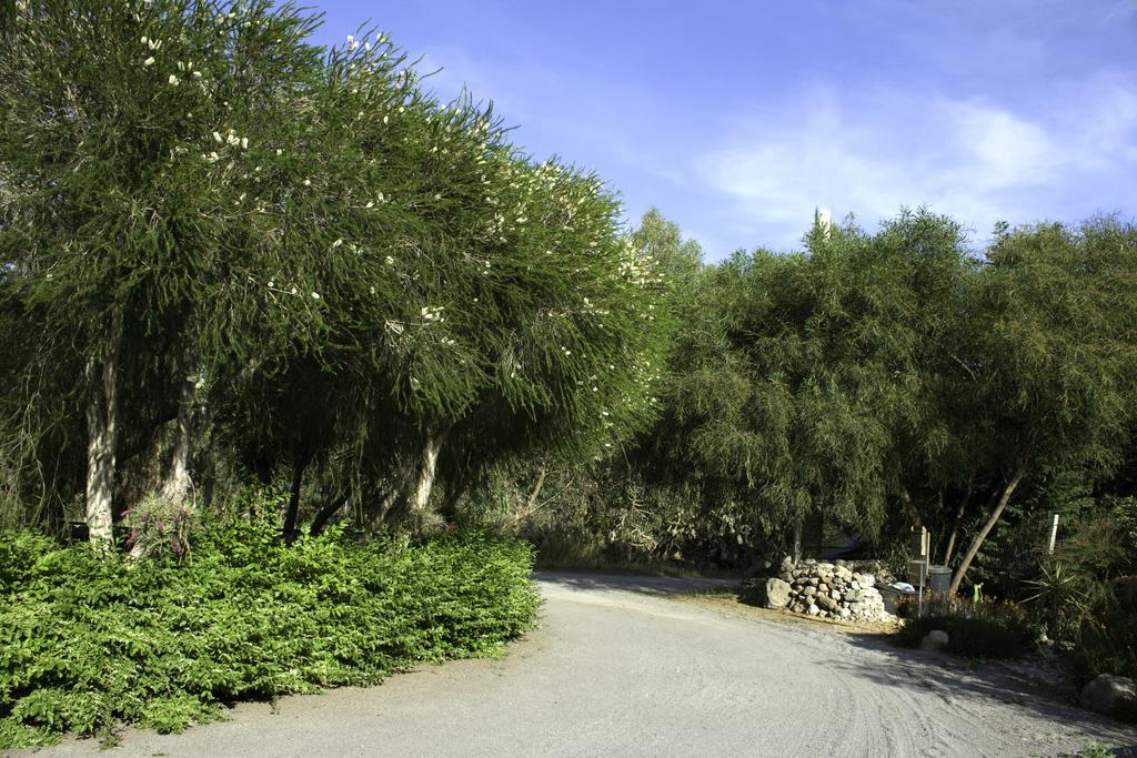 Il Vecchioliveto Di Ornella Bed and Breakfast Marrùbiu Exteriör bild