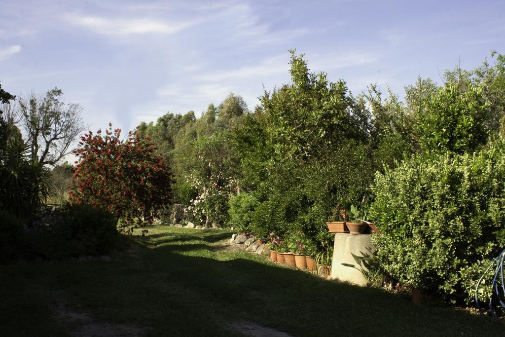 Il Vecchioliveto Di Ornella Bed and Breakfast Marrùbiu Exteriör bild