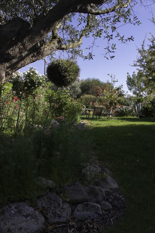 Il Vecchioliveto Di Ornella Bed and Breakfast Marrùbiu Exteriör bild
