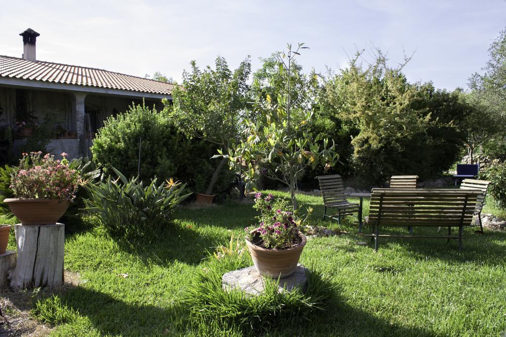 Il Vecchioliveto Di Ornella Bed and Breakfast Marrùbiu Exteriör bild