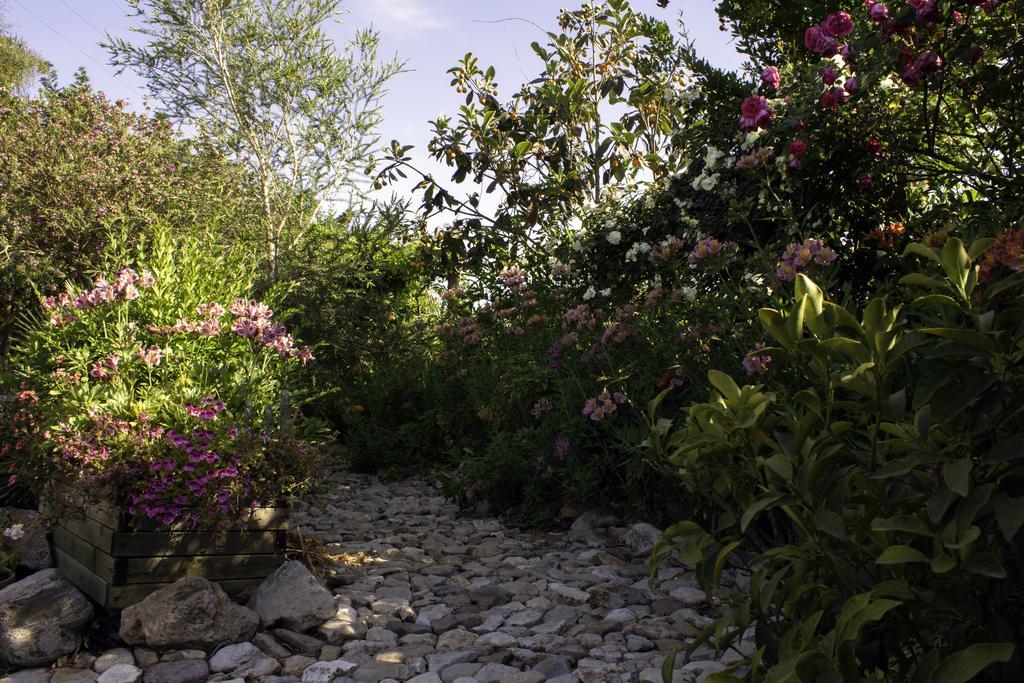 Il Vecchioliveto Di Ornella Bed and Breakfast Marrùbiu Exteriör bild